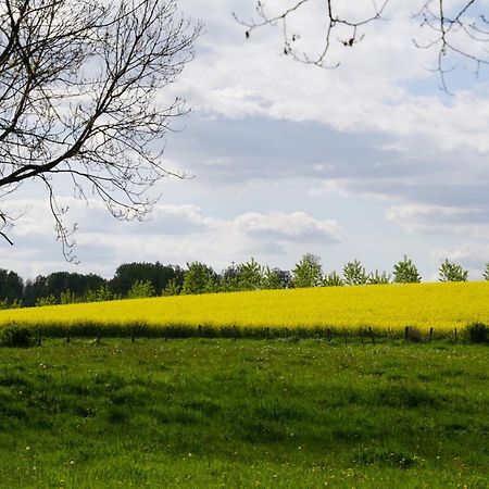 Charrey-sur-Saone La Grange De Felicie Bed & Breakfast エクステリア 写真