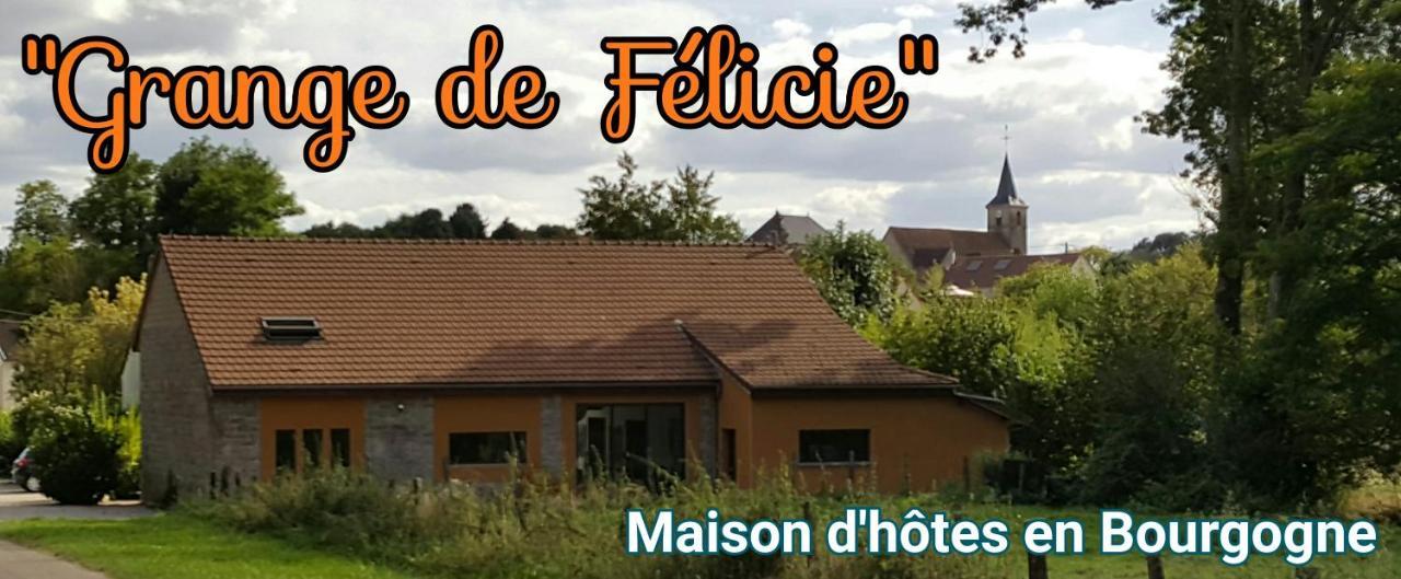 Charrey-sur-Saone La Grange De Felicie Bed & Breakfast エクステリア 写真