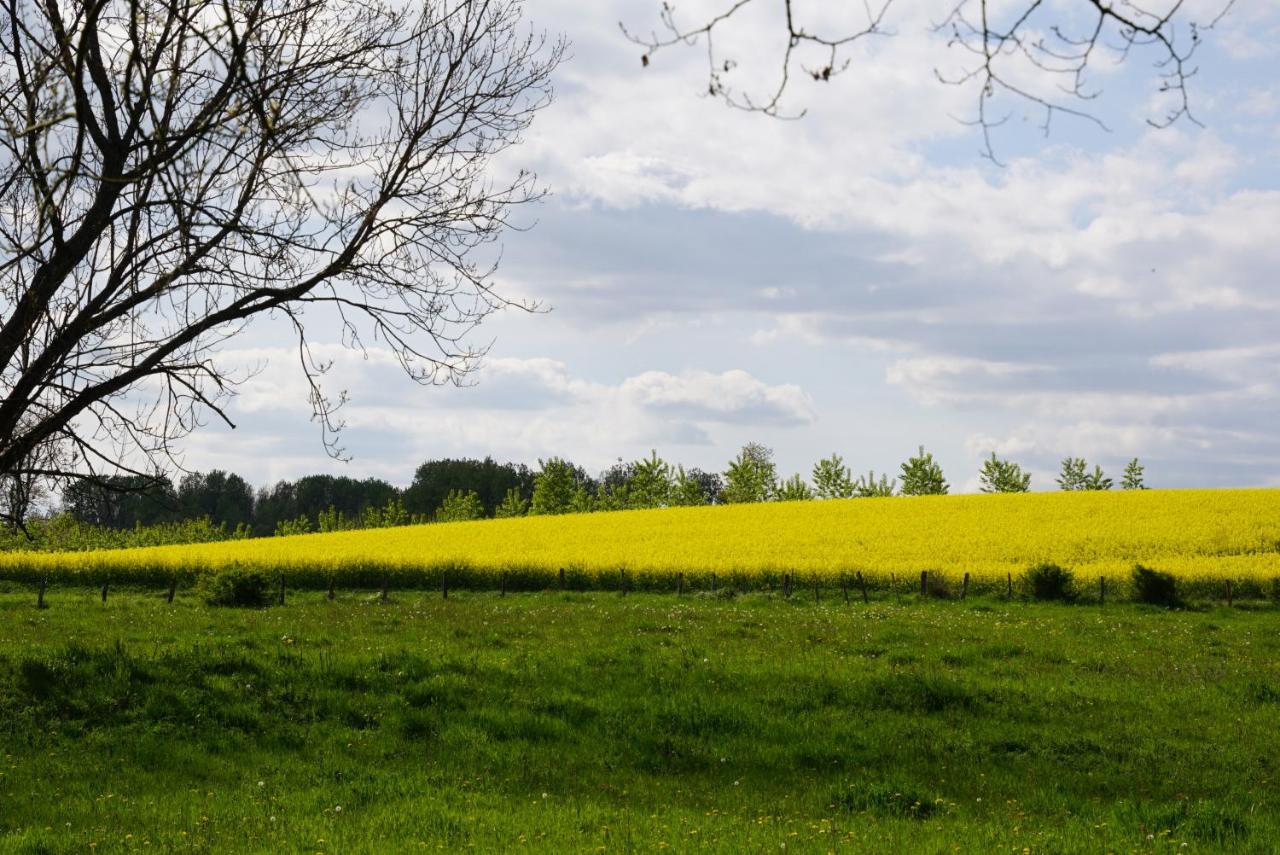 Charrey-sur-Saone La Grange De Felicie Bed & Breakfast エクステリア 写真