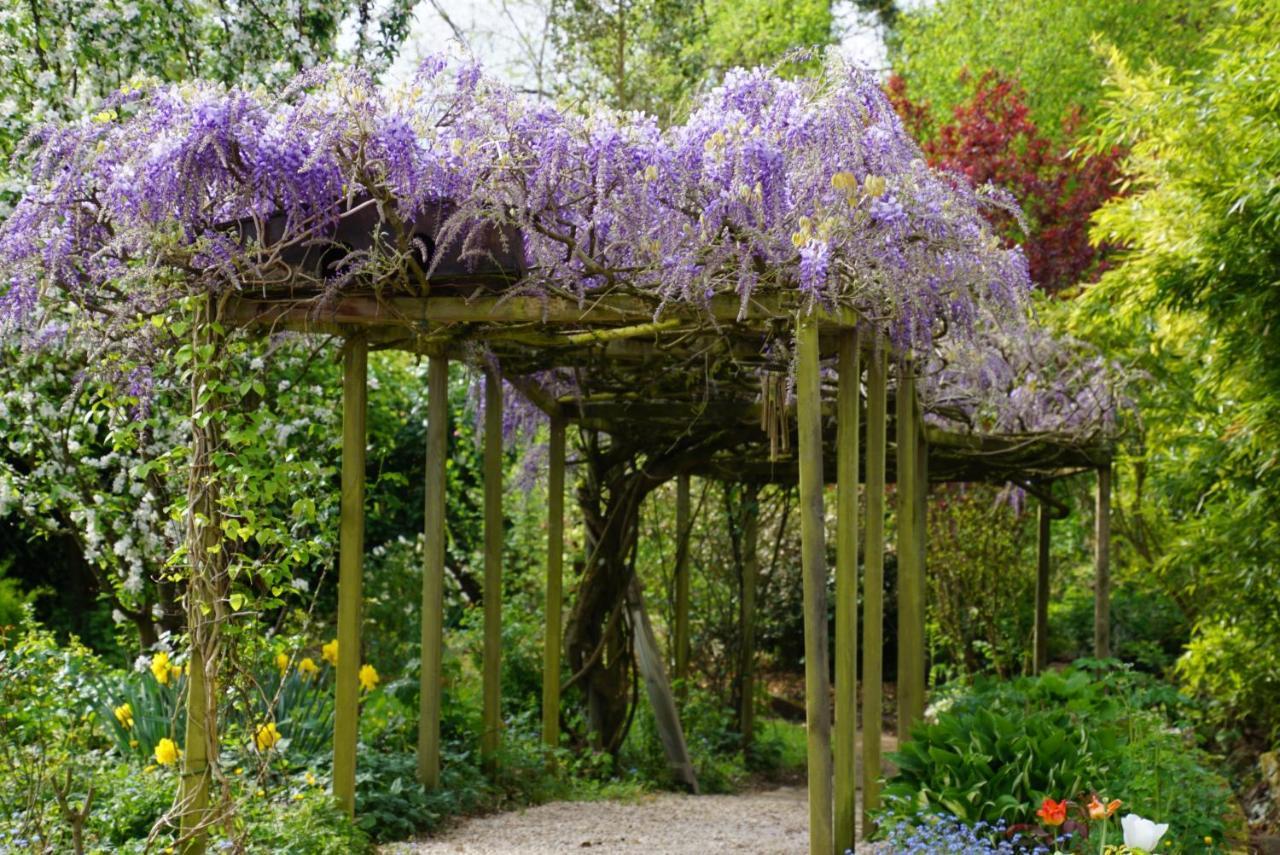 Charrey-sur-Saone La Grange De Felicie Bed & Breakfast エクステリア 写真