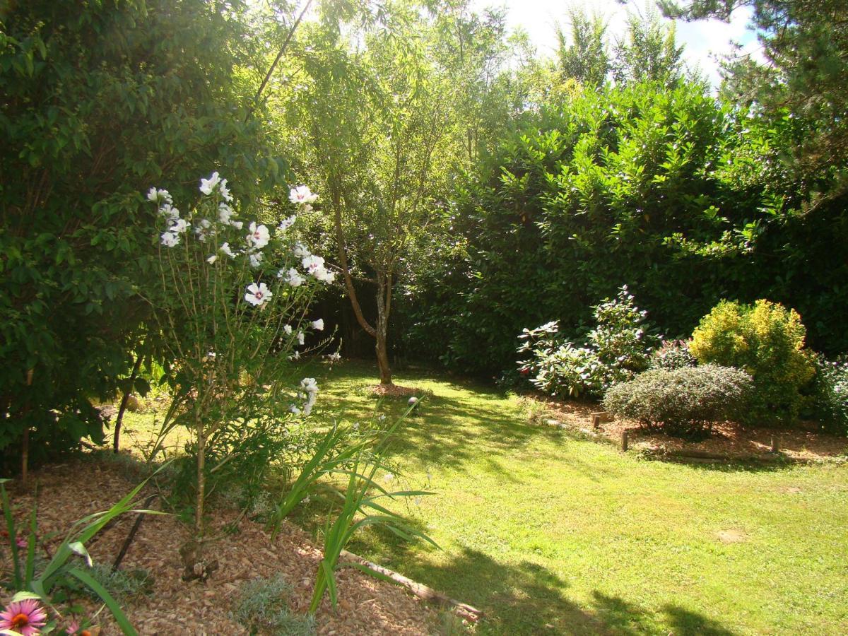 Charrey-sur-Saone La Grange De Felicie Bed & Breakfast エクステリア 写真