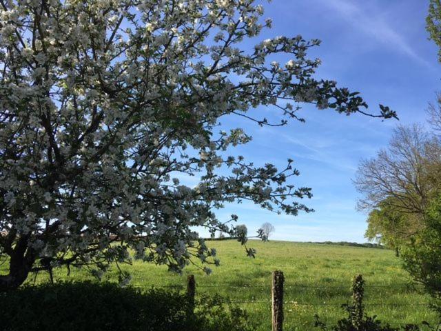 Charrey-sur-Saone La Grange De Felicie Bed & Breakfast エクステリア 写真